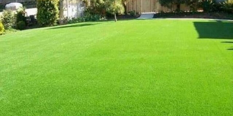 Koji travnjak je bolje posaditi na selu